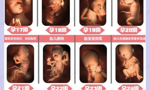 宝宝三个月可以坐飞机吗专区_三个月婴儿可以吹风扇吗专区_三个月宝宝可以吹风扇吗网
