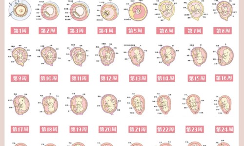 宝宝三个月可以坐飞机吗专区_三个月婴儿可以吹风扇吗专区_三个月宝宝可以吹风扇吗网